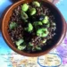 Salade lentilles aux fèves Soudan23 563x550.jpg